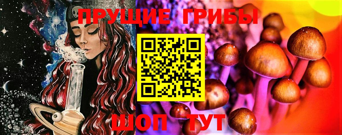 Верхняя Салда  Галлюциногенные грибы MAGIC MUSHROOMS  Вход с VPN  Псилоцибиновые грибы Cubensis 