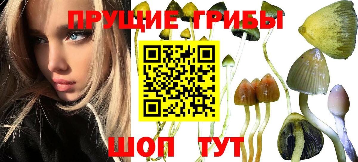 Галлюциногенные грибы прущие грибы Верхняя Салда